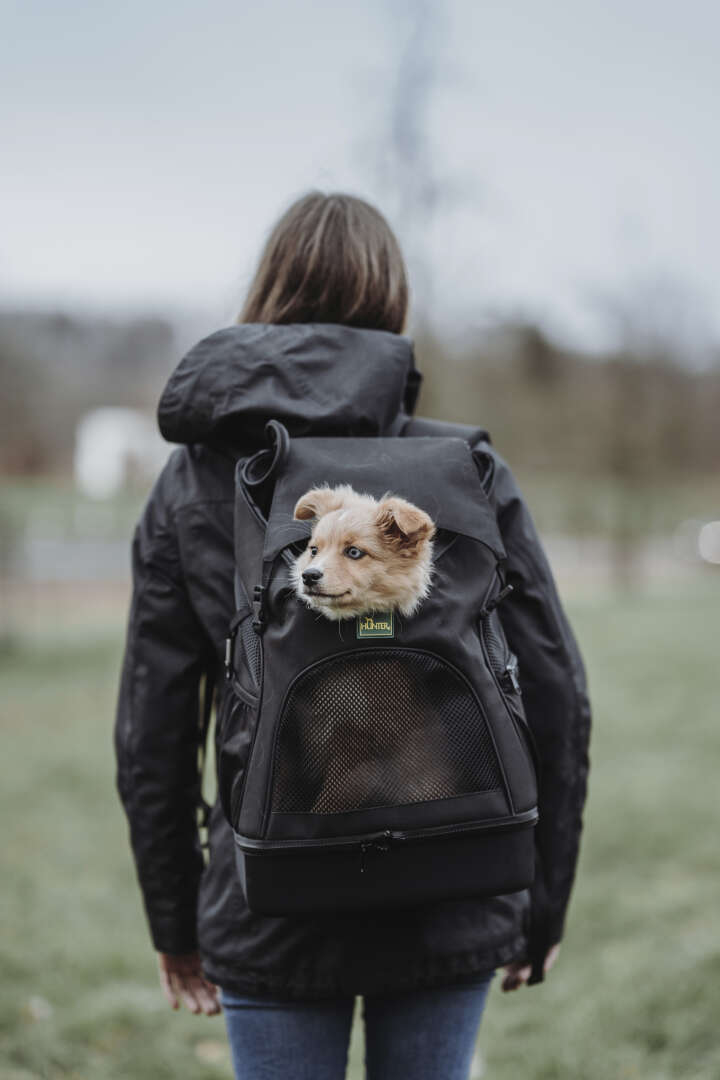 HUNTER Rucksack Miles für Hunde